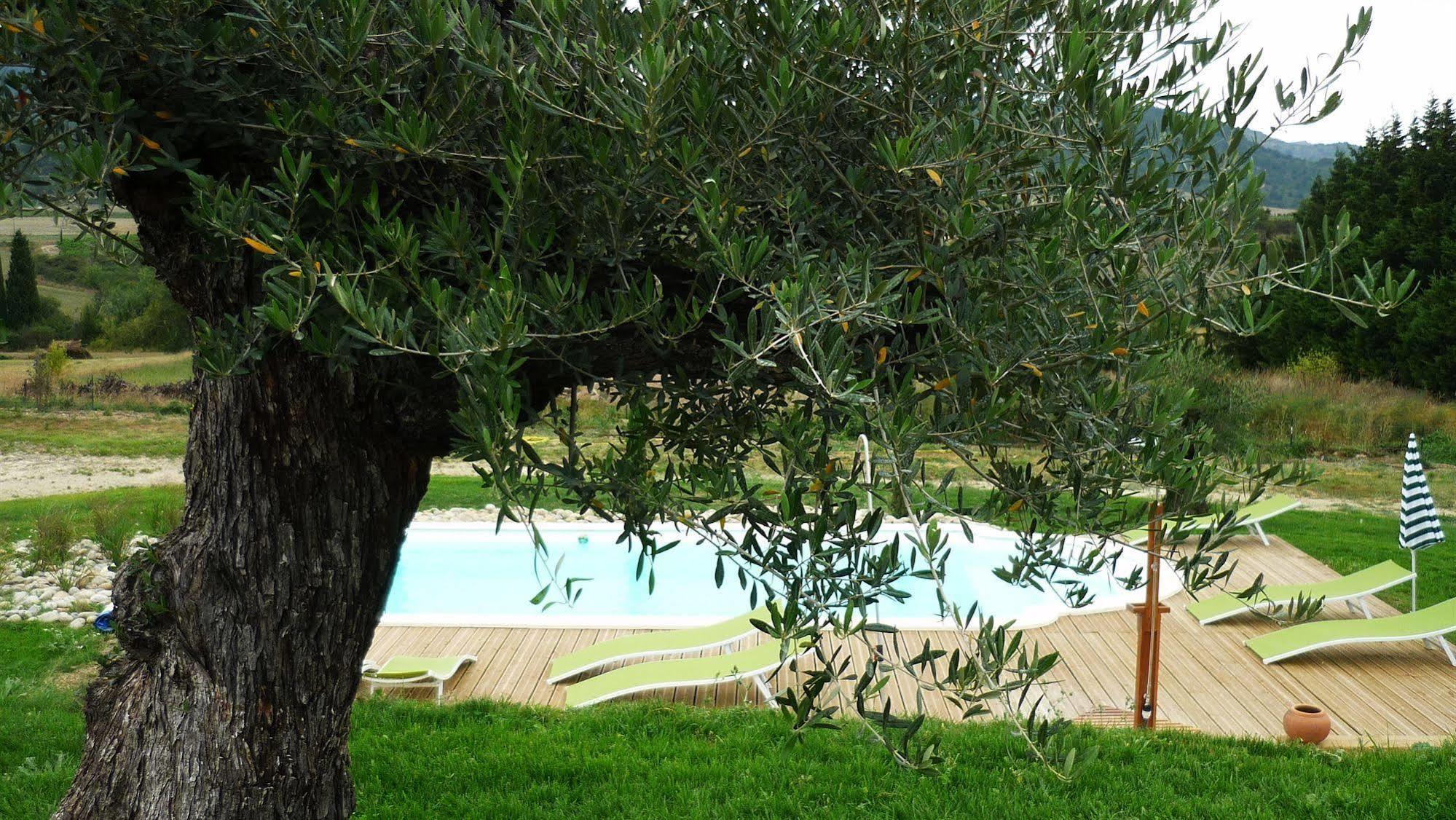 Relais De L'Alsou- Piscine Panzió Labastide-en-Val Kültér fotó