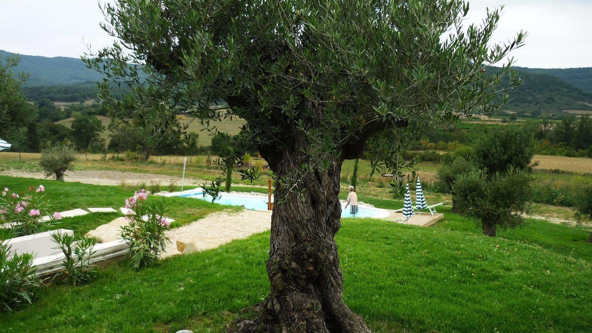 Relais De L'Alsou- Piscine Panzió Labastide-en-Val Kültér fotó